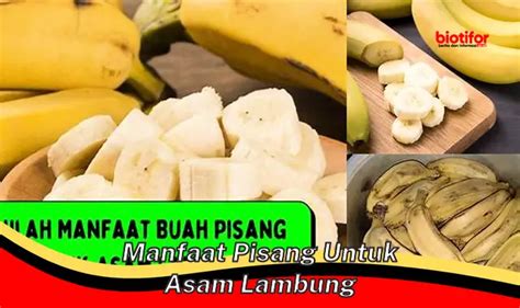 Temukan Manfaat Pisang Untuk Asam Lambung Yang Jarang Diketahui Biotifor