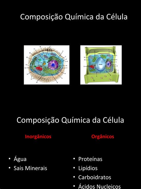 Componentes Quimica Da Celula - Composição Química da Célula | PDF | Carboidratos | Membrana celular