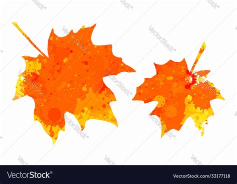 Watercolor maple leaves Royalty Free Vector Image