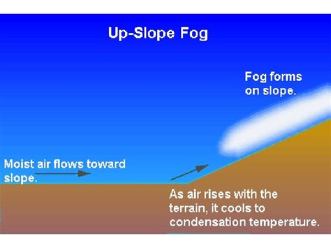 Types of Fog Radiation fog generally forms when