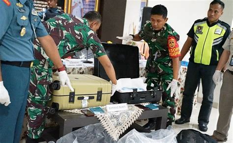 Dikemas Dalam Koper Bea Cukai Tindak Ribuan Ekor Benih Bening Lobster