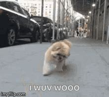 I Wub You GIFs | Tenor
