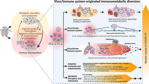 Frontiers Immunometabolic Dysregulation At The Intersection Of