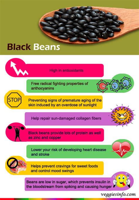 Black Beans Nutrition Facts And Health Properties Veggies Info