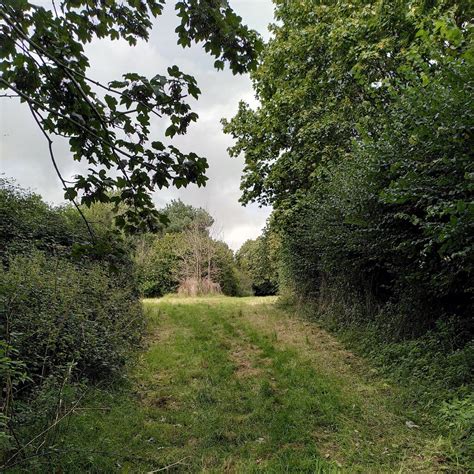 Path Through Woodland Countess Wear A J Paxton Geograph Britain