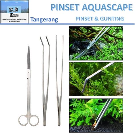 Jual Pinset Cm Gunting Cm Aquascape Reptil Dr Tgr Shopee Indonesia