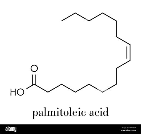 Palmitoleic Acid Omega 7 Fatty Acid Molecule Skeletal Formula Stock