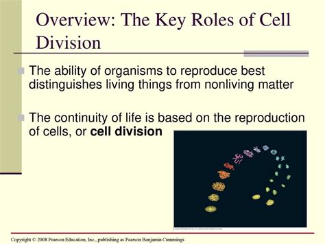 Chapter 3 Reproduction Of Prokaryotic Cell Ppt Download