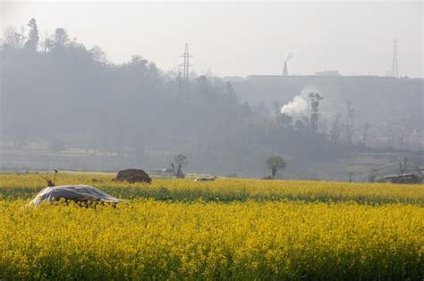 Premium Photo Rural Area