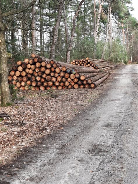 Janneke De Vries On Twitter Rt Jobeekman De Hele Veluwe Een