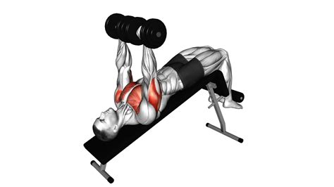 Dumbbell Decline Bench Press Video Guide Tips