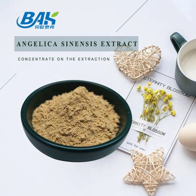 Womens Health Supplement Angelica Sinensis Extract Raw Powder