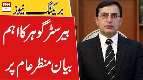 Barrister Gohar Ali Khan Big Statement Pnn News Youtube