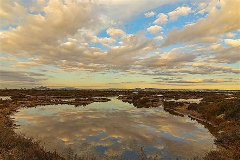 Parque Regional De Las Salinas Y Arenales De San Pedro Del Pinatar