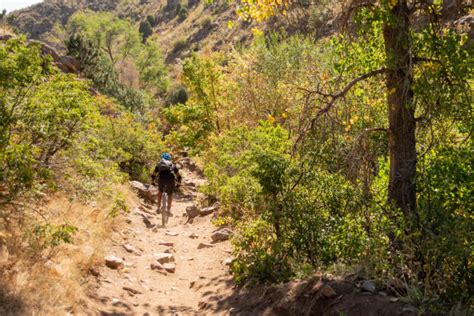 Mountain Biking has Outgrown Colorado's Most Popular Trails - Singletracks Mountain Bike News