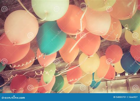 Colorful Balloons Floating On The Ceiling Of A Party In Vintage Stock