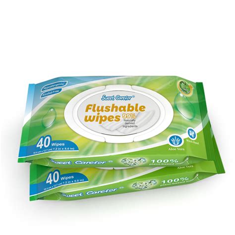 Flushable Adult Toilet Moist Wet Wipes For Cleaning Oem Biodegradable