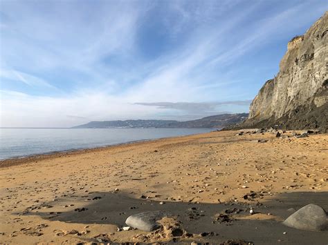 Fossil Hunting Walks Lyme Regis Tutto Quello Che Cè Da Sapere