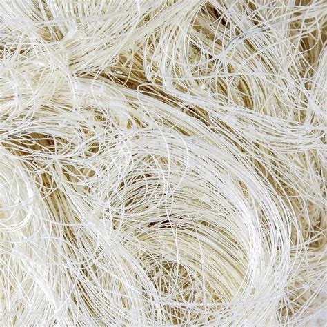Sisal Fibre Wholesaler At ₹ 300kg सिसल का फाइबर In Mumbai Id