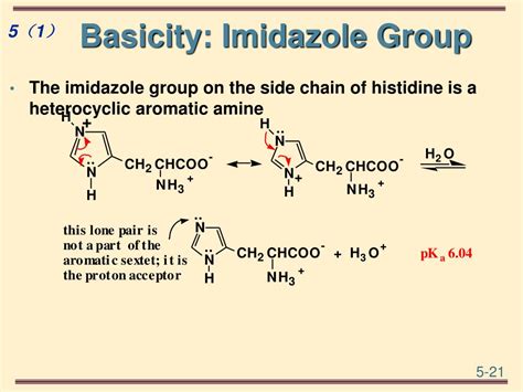 Ppt Biochemistry Powerpoint Presentation Free Download Id 5880126