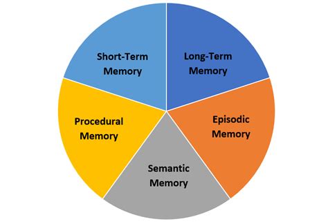 Part 2 The Different Types Of Memory Ayuso Instructional Design