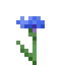 Cornflower | Minecraft Bedrock Wiki | Fandom