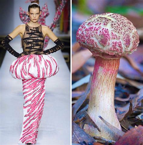 Lisa S World Fashion Often Draws Inspiration From Nature And This