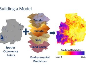 Species Distribution Modeling Natureserve