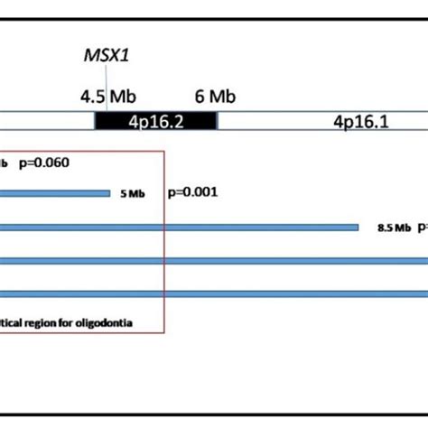 p-arm of chromosome-4 screening in Wolf-Hirschhorn syndrome patients ...