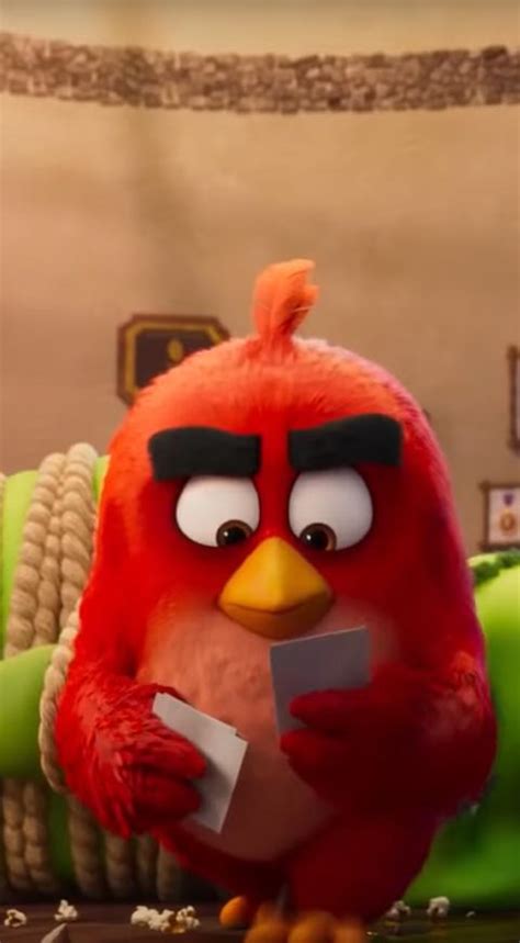 Series ‘angry Birds’ Llega A Netflix Con Nueva Serie Animada Producciones Mia