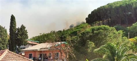 Incendio Sul Monte Mompileri Le Fiamme Divampano Dalle Sterpaglie