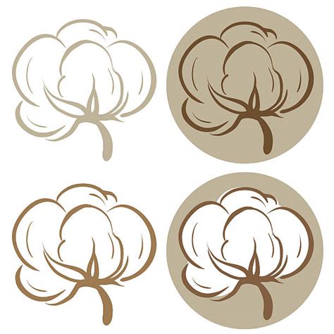 cotton boll clipart 20 free Cliparts | Download images on Clipground 2025