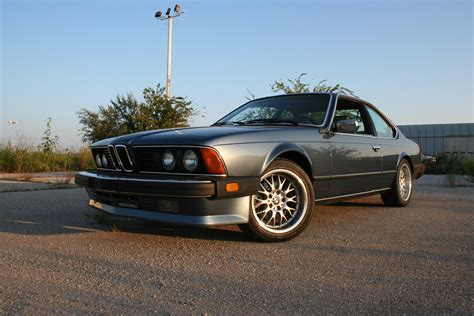 Post Pictures of Your Shark!