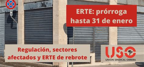 Prórroga de los ERTE por causa de fuerza mayor hasta el 31 de enero de