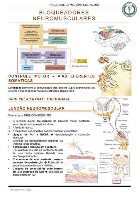 Bloqueadores Neuromusculares Bloqueadores Neuromusculares Controle