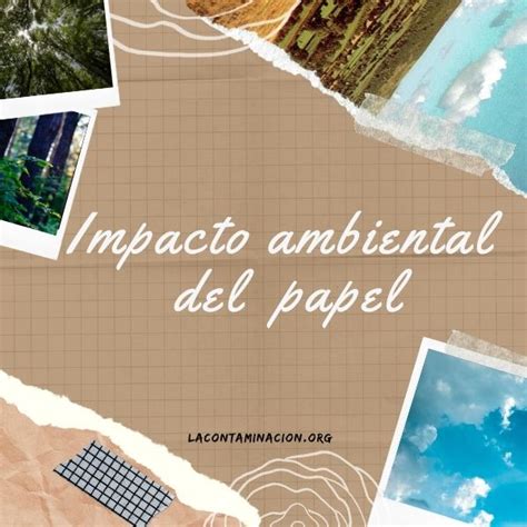 Conoces Cu L Es El Impacto Ambiental Del Papel La Contaminaci N