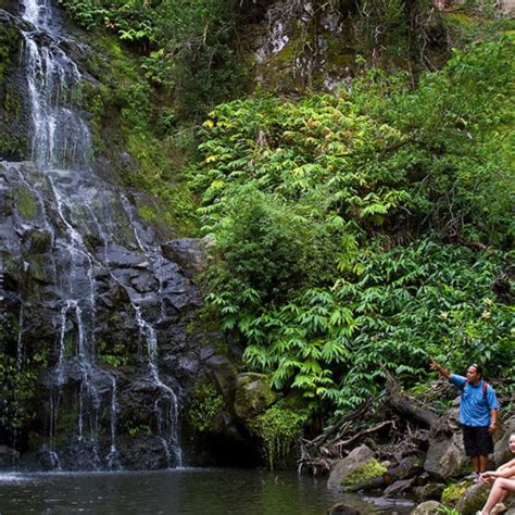 Best Big Island Hiking Tours Kohala Waterfall Tour