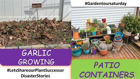 March Garden Tour Saturday Garlic Successfully Growing YouTube