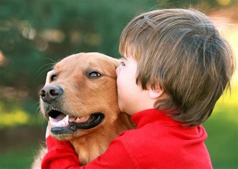 Bichos De Estimação Como Encontrar Um Cachorro Para O Seu Filho Bebe