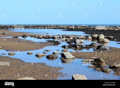 The Rock Pools And Glistening Sea Of Robin Hood S Bay Yorkshire UK