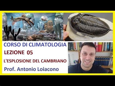 Corso Di Climatologia Lezione L Esplosione Del Cambriano Youtube