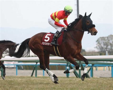 【大阪杯】11ベラジオオペラ 上村師納得「硬さを見せることもなく順調」 競馬ニュース Netkeiba