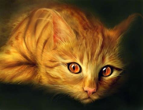 20+ Beautiful Realistic Cat Drawings To inspire you