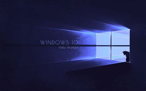 Best Microsoft Windows 10 Wallpaper Cat