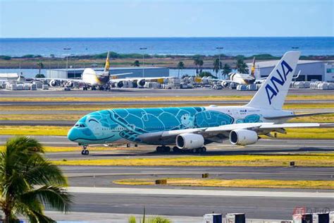 Ana巨大機「a380」 7月から“復活”！成田～ホノルル線定期便再投入が公式発表 週2往復 2022年5月10日 エキサイトニュース