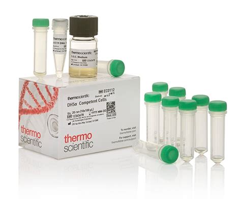 Thermo Scientific Dh Competent Cells High Efficiency Quantity