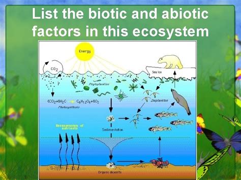 Biotic and Abiotic factors 1 All Ecosystems Have