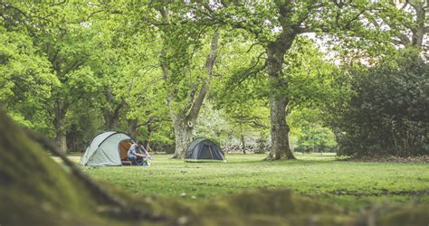 Ashurst Campsite In The New Forest