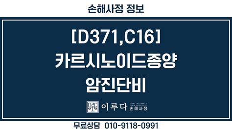 손해사정사례 카르시노이드종양 D371 C16 암진단비 악성암 지급 사례 무료상담 010 9118 0991 Youtube