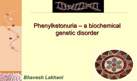 Pku Biochemical Genetic Disorder 19 1 2023 Ppt